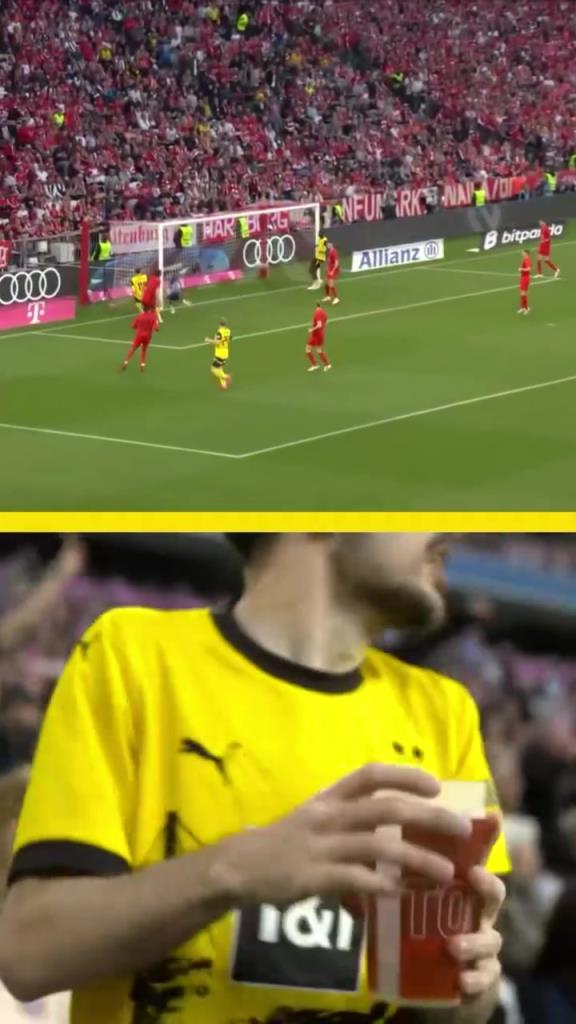 勇者無懼！這是真多特球迷！在拜仁球迷區(qū)一個人肆意慶祝！